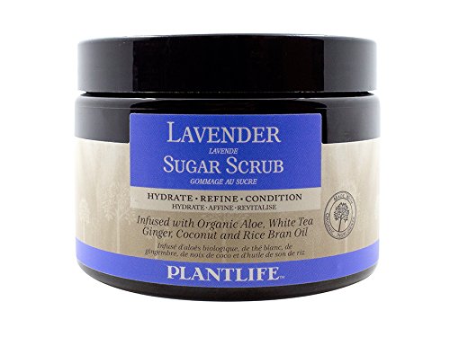 Lavender Face & Body Sugar Scrub – 100% Natural, 14 oz