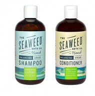 Seaweed Bath Co Balancing Eucalyptus Plant and Peppermint Organic Natural Shampoo and Conditioner Bundle With Argan Oil, Sustainable Bladderwrack Seaweed, Aloe Vera & Essential Oils, 12 fl. oz. each